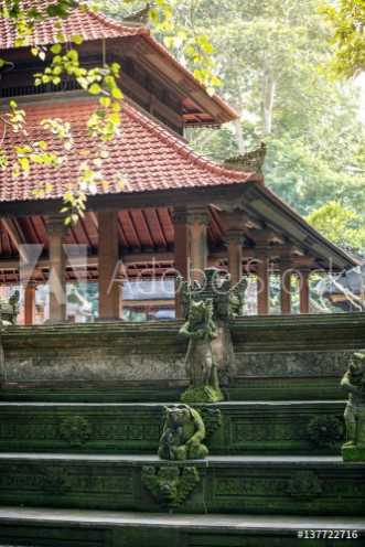 Picture of Monkey temple